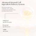 [Blanc Dubu] Nuborn Cell Hydrogel Collagen Mask | Hydrating Face Masks with Peptides & Hyaluronic Acid | Collagen Face Mask Overnight for Glass Skin | Face Masks Korean