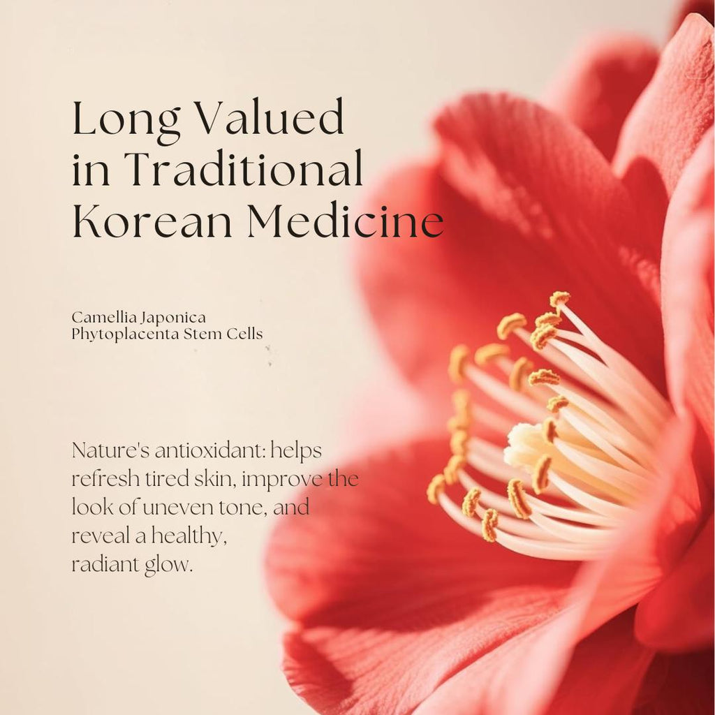 [Blanc Dubu] Nuborn Cell Placenta Stem Cell Intensive Repair Cream | Dragon Blood Cream with Placental Extract | Collagen Korean Skin Care for Glass Skin 50ml (1.69 fl oz)