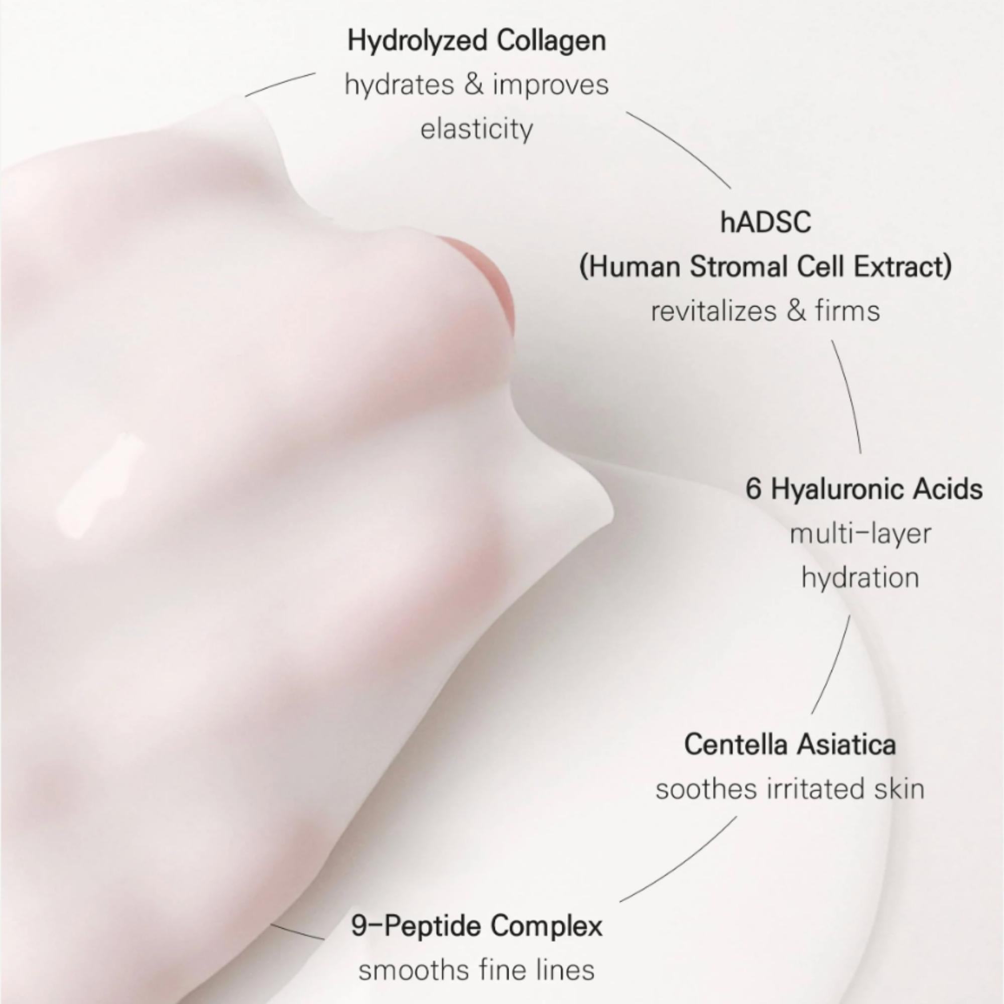 [Blanc Dubu] Nuborn Cell Hydrogel Collagen Neck Mask | Firming Neck Treatment with Niacinamide, Hyaluronic Acid & Multi-Peptides | Ultra-Moisturizing Patch (5 Masks)